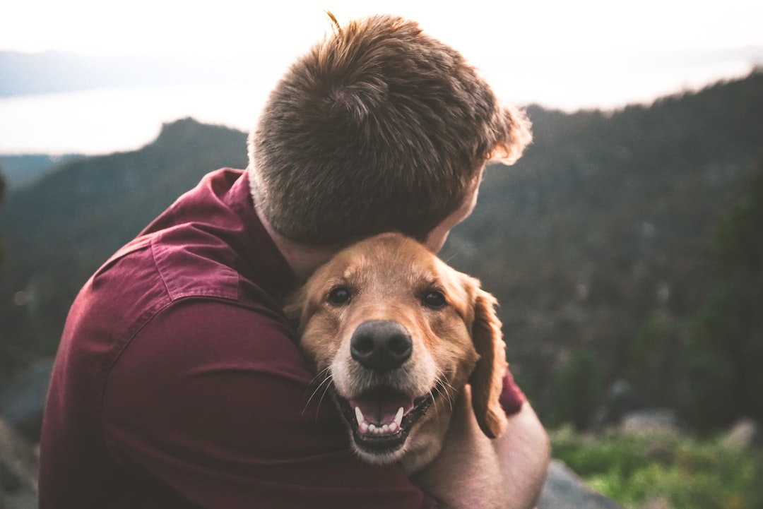 Photo Happy dog